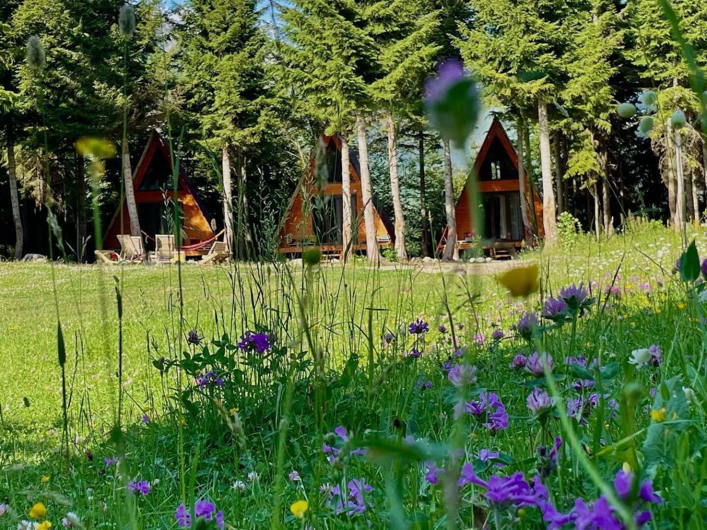 Bude Mestia Cottages エクステリア 写真